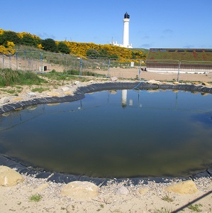 RAF and RNAS New Visitor Centre Covesea Lighthouse Lossiemouth